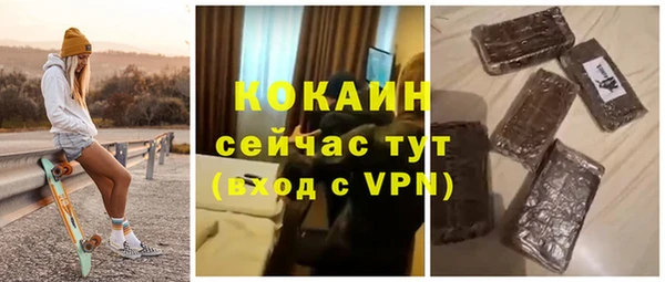 дживик Белокуриха