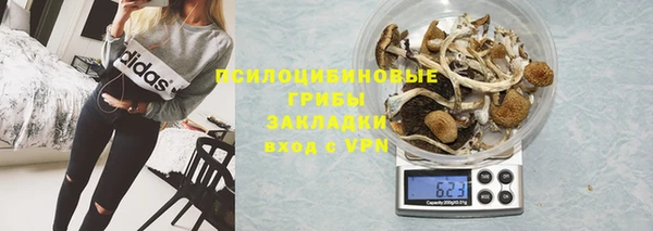 дживик Белокуриха