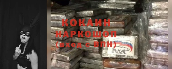 дживик Белокуриха