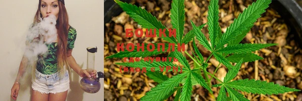 дживик Белокуриха