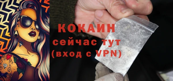 дживик Белокуриха