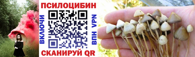 blacksprut как зайти  Магас  Галлюциногенные грибы GOLDEN TEACHER 